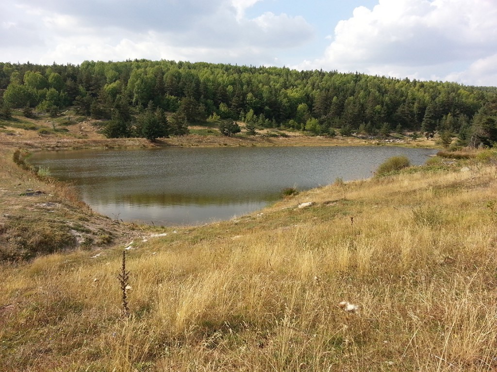 malicetinkaya Hayat… Futbol… Anlar… Bir Şeyler… Sayfa 47