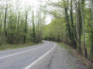 22 Nisan 2013 Safranbolu, Karabuk Yolu -01-