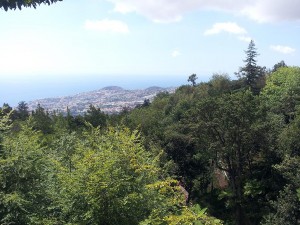 21 Eylul 2013 - Monte, Funchal, Madeira -1-