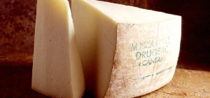 Cantal Cheese