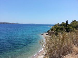 11 Temmuz 2016 - Spetses Adasi, Yunanistan -05-
