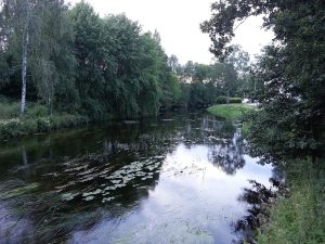 23 Temmuz 2016, Rydboholm, Boras, Isvec -01-