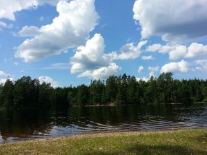 24 Temmuz 2016 - Storsjöns Lake, Rydboholm, Boras, Isvec -02-