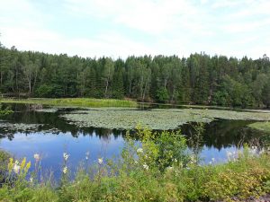 24 Temmuz 2016 - Viskafors, Boras, Isvec -01-