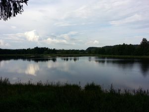 25 Temmuz 2016 - Rydboholm, Boras, Isvec -09-